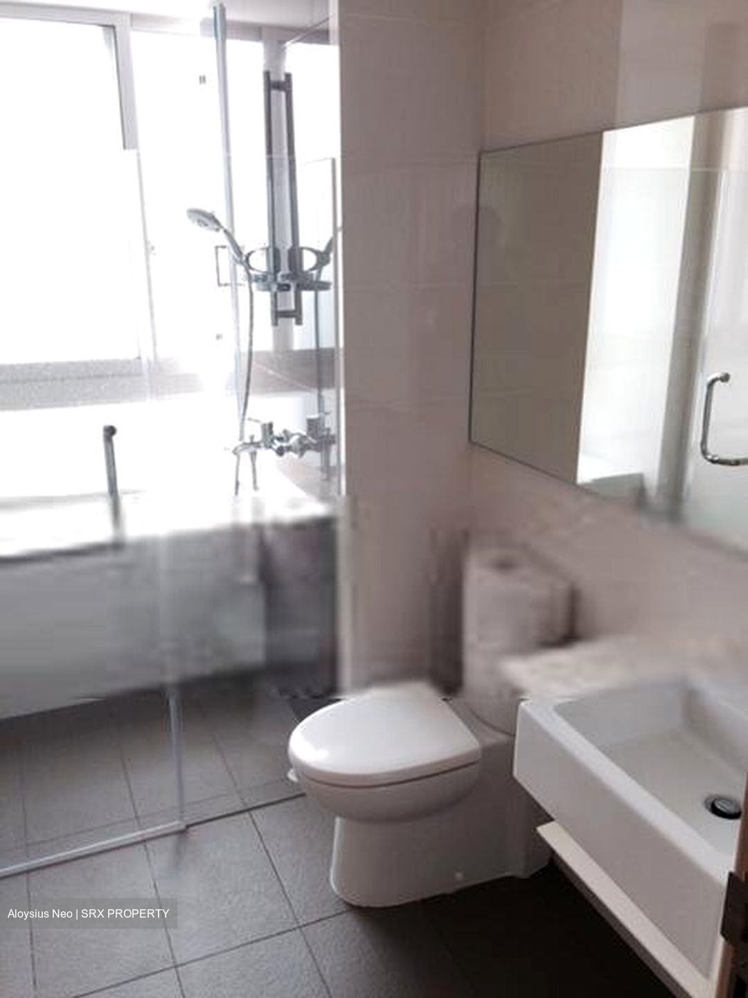 Idyllic East (D16), Apartment #573150671